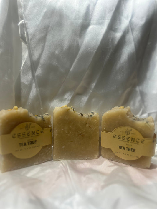 Tea tree